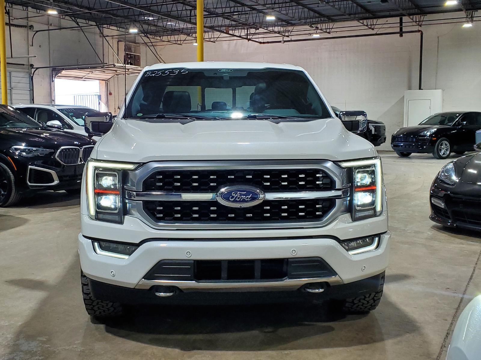 2021 Ford F-150 Platinum photo 2