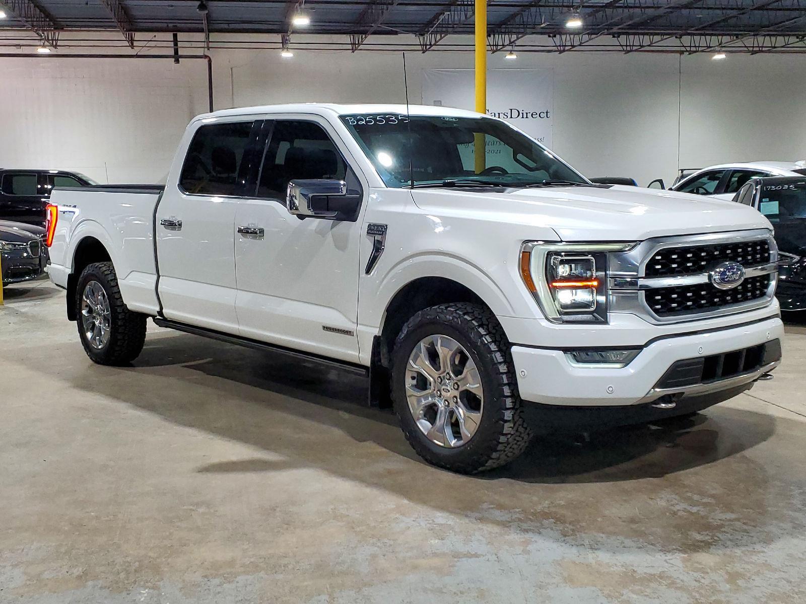 2021 Ford F-150 Platinum photo 3