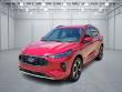 Used 2024 Ford Escape ST-Line Select SUV