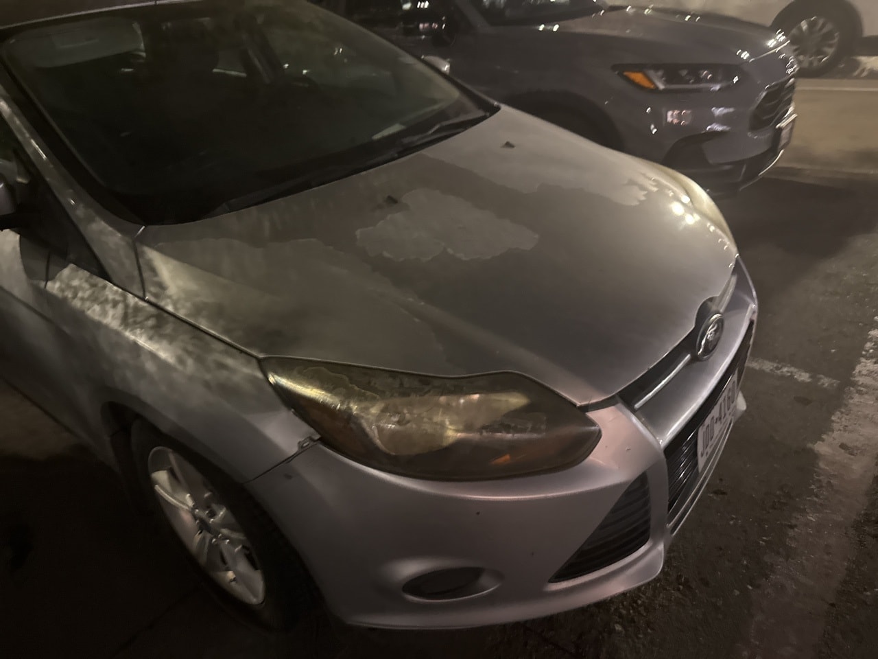 2014 Ford Focus SE's photo