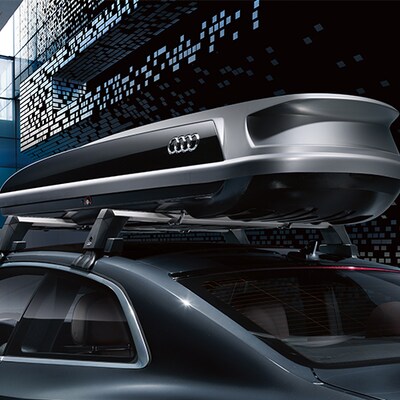 Service Specials The Audi Connection