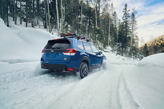 Embrace Adventure with Subaru Wilderness Edition Models