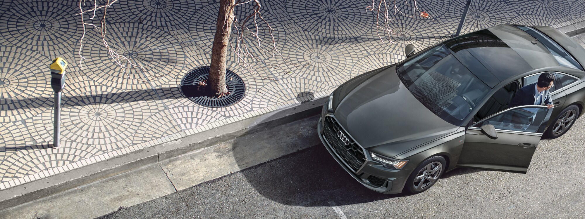Audi_A6_Exterior_Silver_Metallic_Front_Angle (2).png