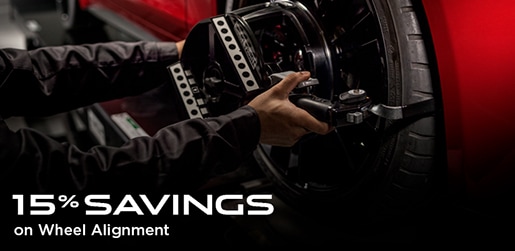 4- jaguar_ALIGNMENT.jpg