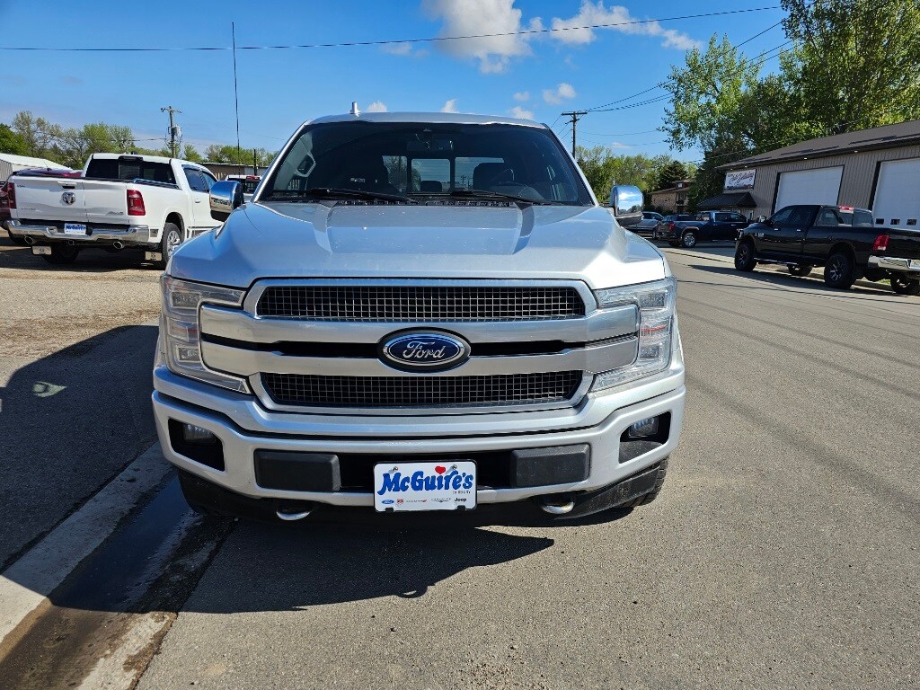 2019 Ford F-150 Platinum photo 3
