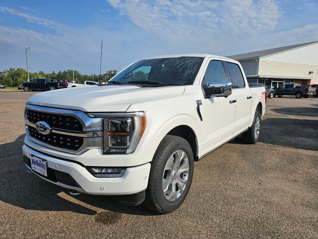 2023 Ford F-150 Platinum photo 2
