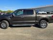 Used 2024 Ford F-150 XLT Truck