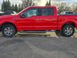 Used 2019 Ford F-150 XLT Truck