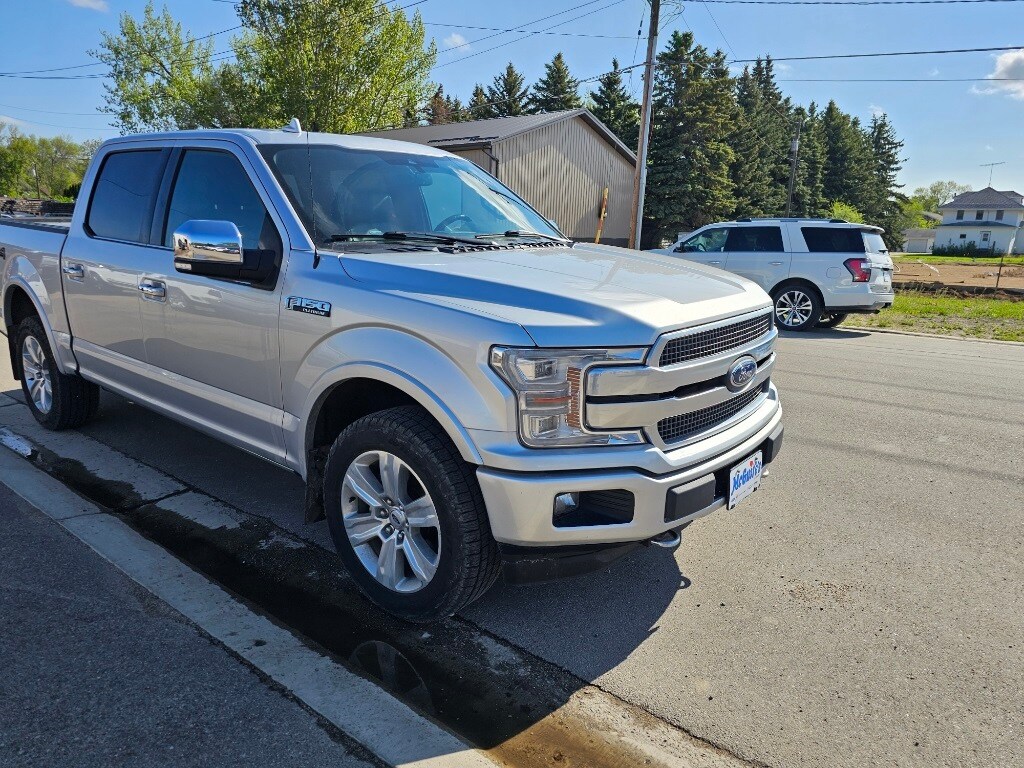 2019 Ford F-150 Platinum photo 4