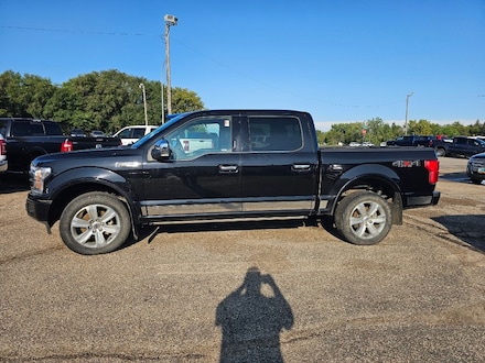 2019 Ford F-150 Platinum Truck