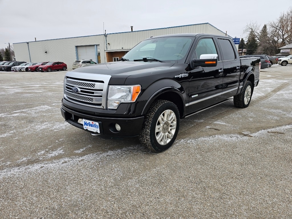 Used 2013 Ford F-150 Platinum with VIN 1FTFW1ET6DFD55937 for sale in Minot, ND