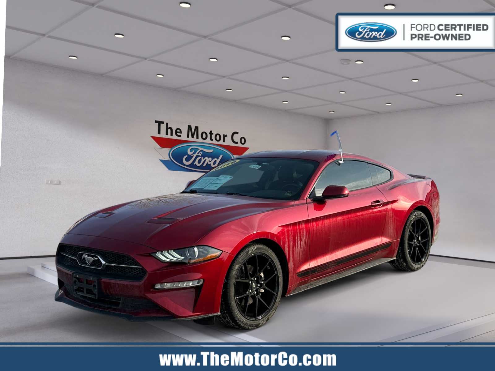 2019 Ford Mustang
