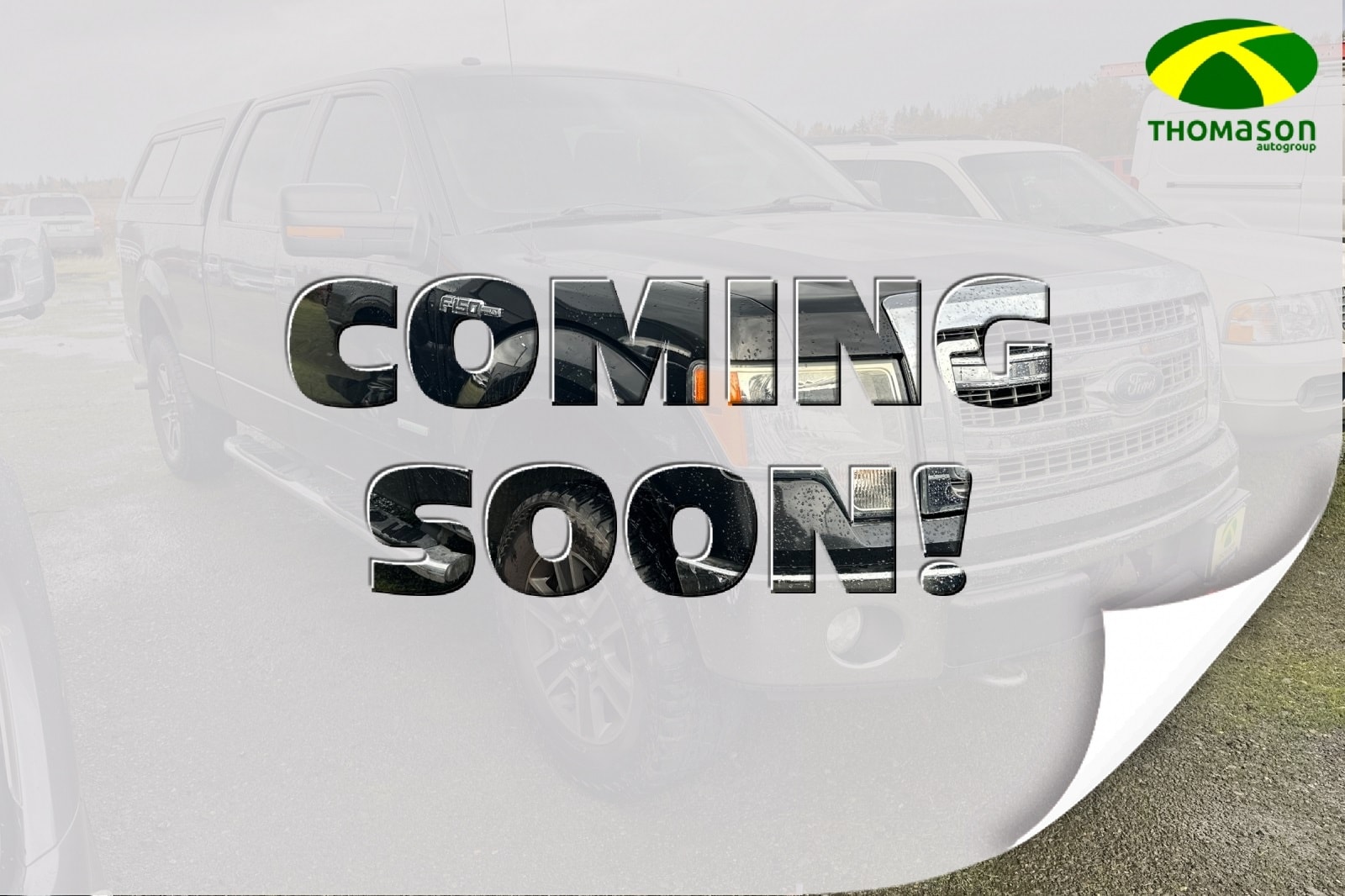 2013 Ford F-150 XLT's photo