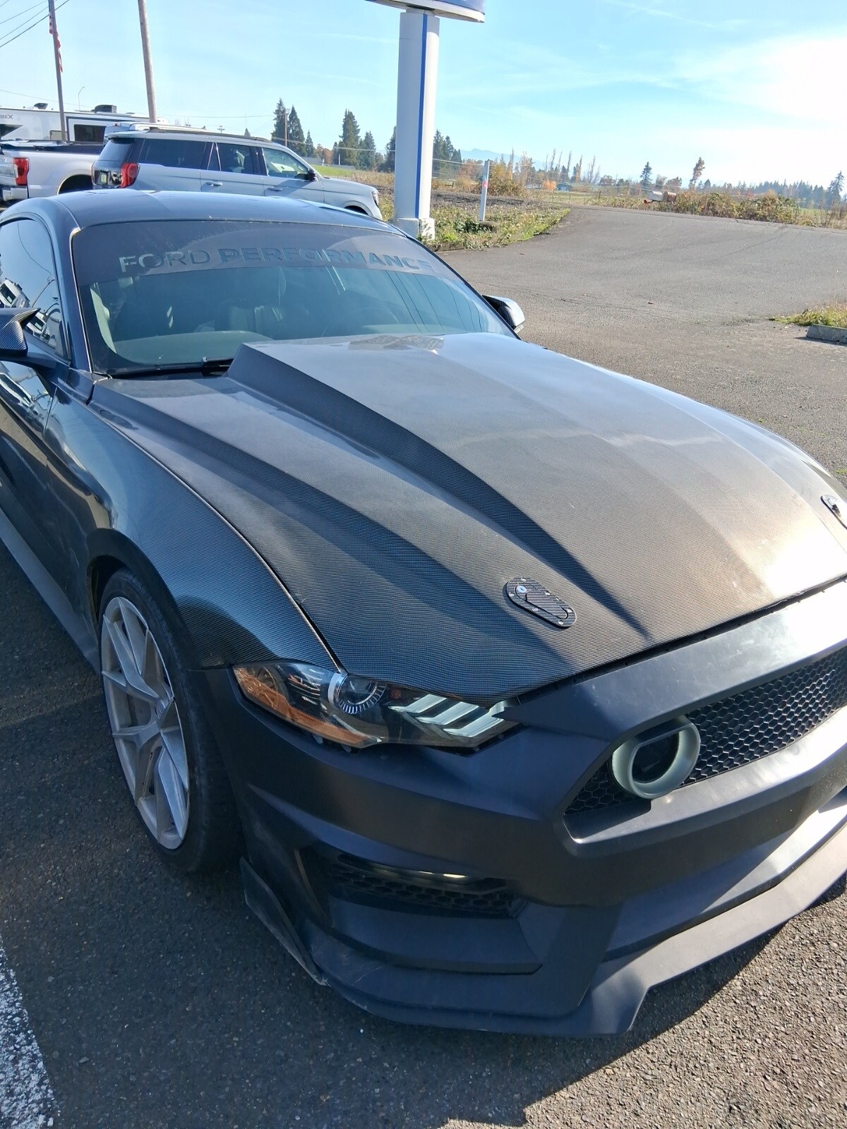 2019 Ford Mustang EcoBoost photo 2
