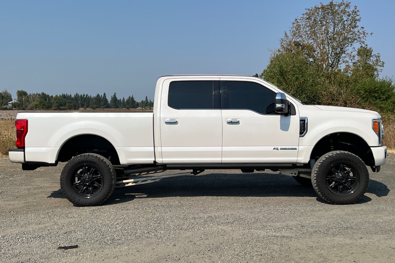 2019 Ford F-250 Platinum photo 2