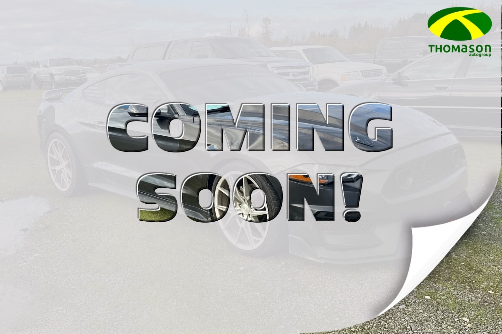 2019 Ford Mustang EcoBoost's photo