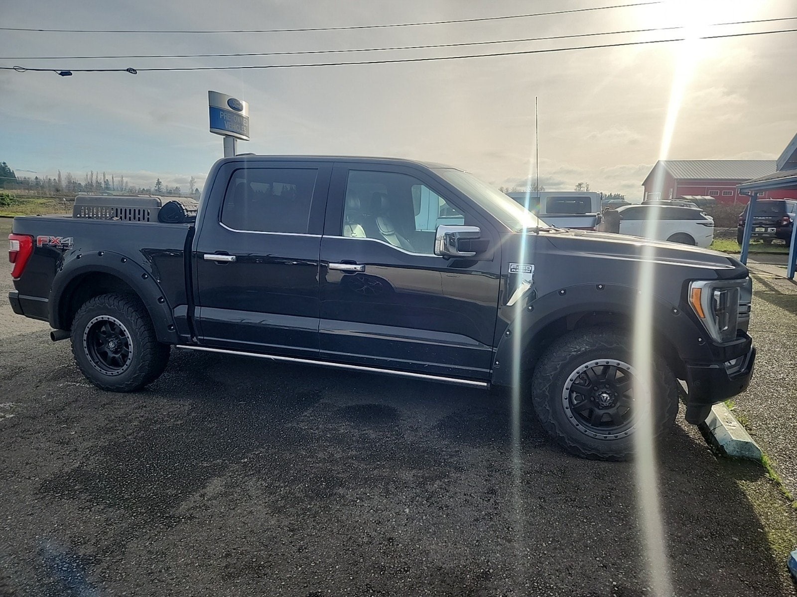 2021 Ford F-150 Platinum's photo