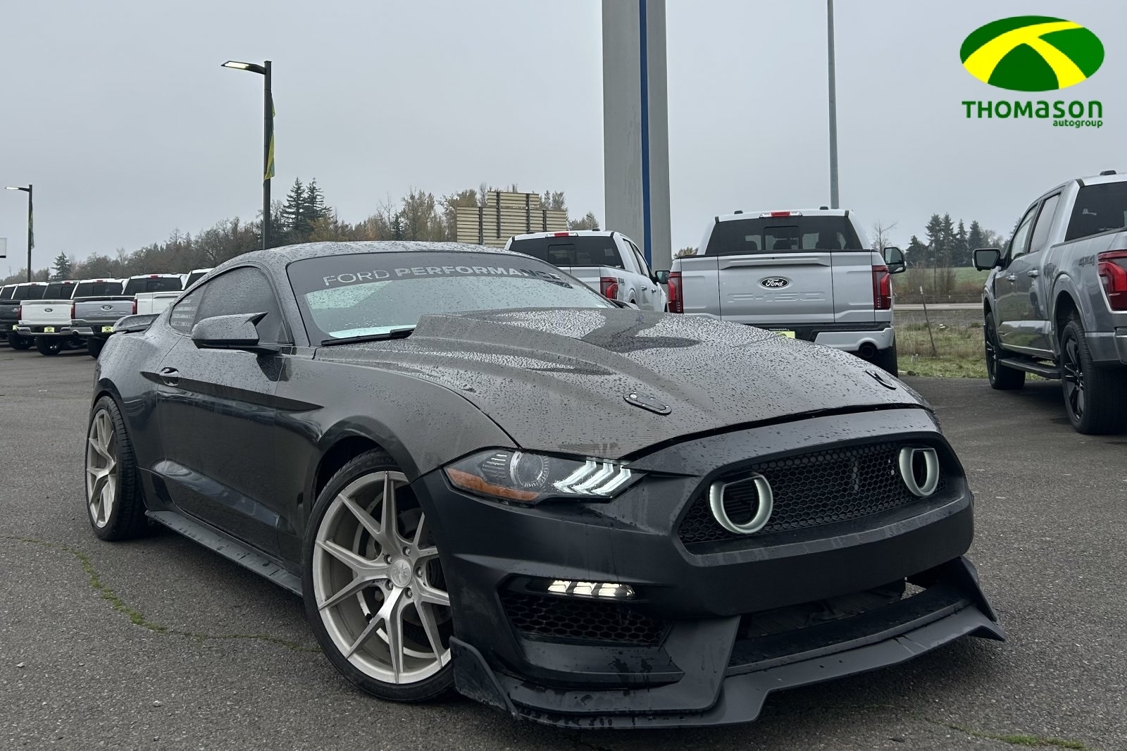2019 Ford Mustang EcoBoost's photo
