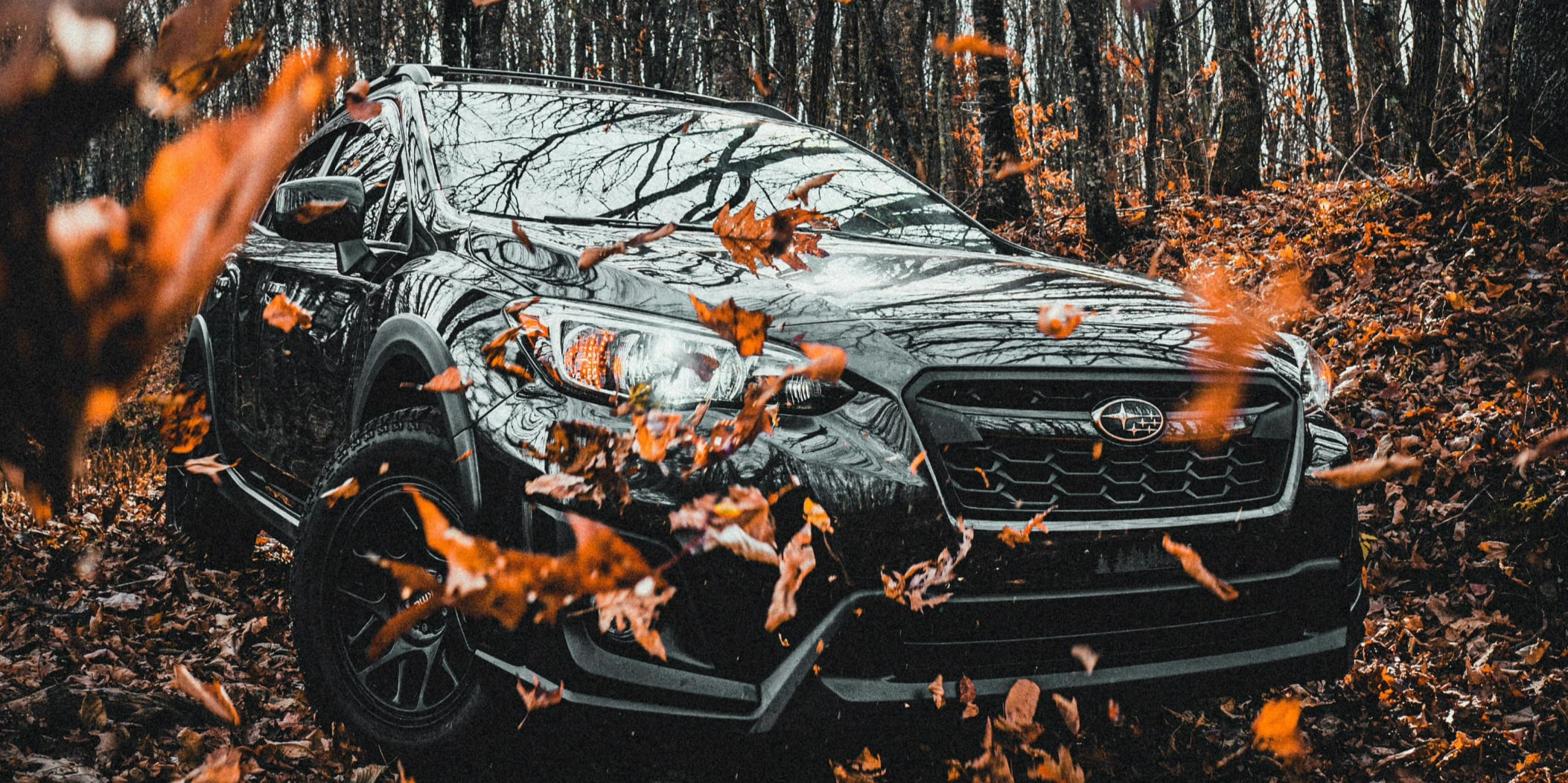 Subaru driving through fall leaves 