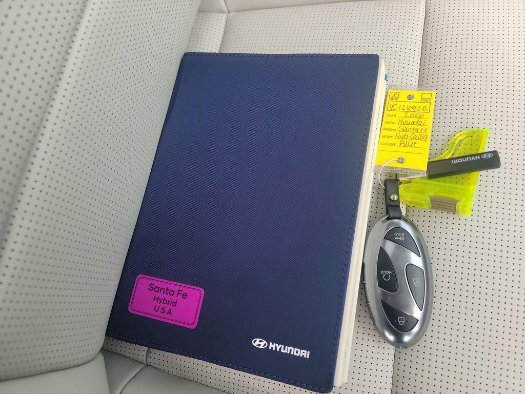 Photo 44