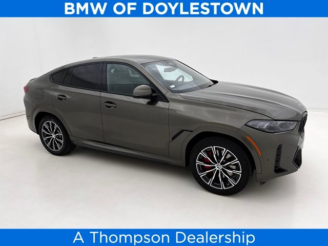 2024 BMW X6