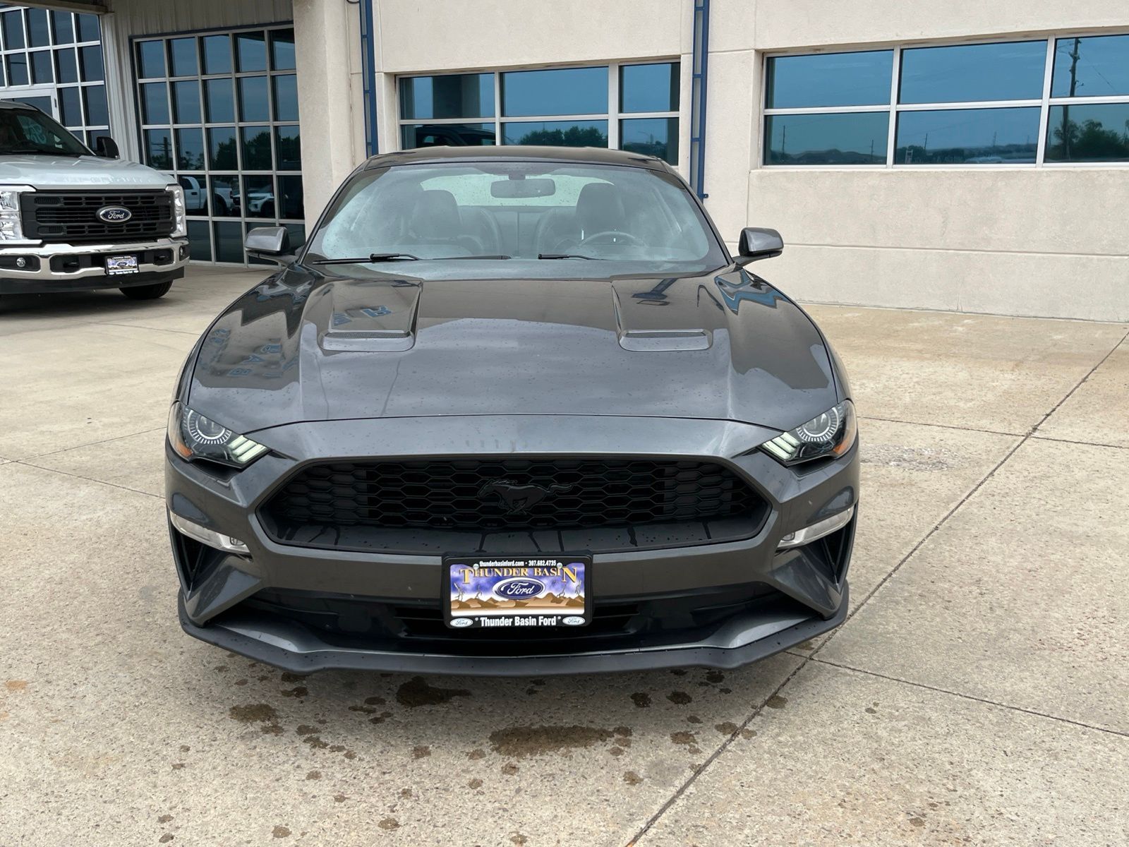 Used 2019 Ford Mustang EcoBoost Premium with VIN 1FA6P8TH8K5185772 for sale in Gillette, WY