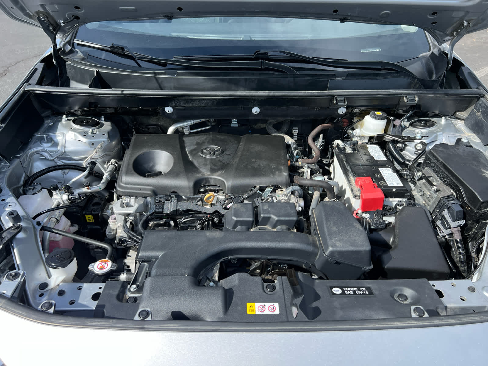 2024 Toyota RAV4 XLE (Natl) photo 4