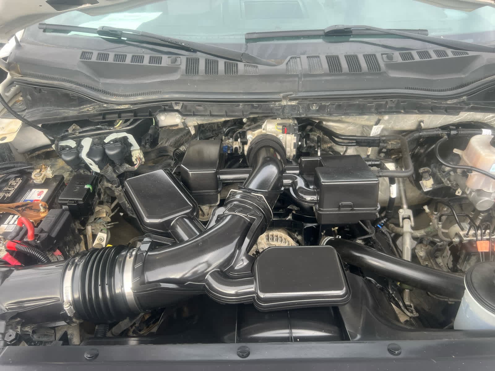 2020 Ford Super Duty F-250 SRW XL photo 3