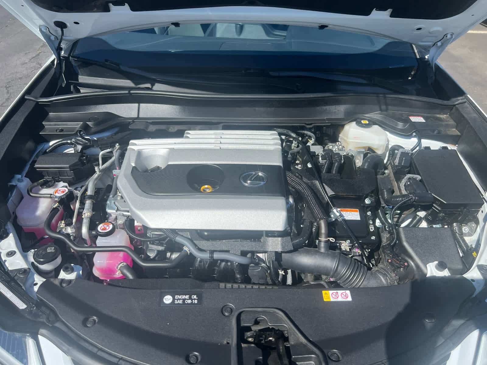 2024 Lexus Ux+250h+f+sport+design photo 3