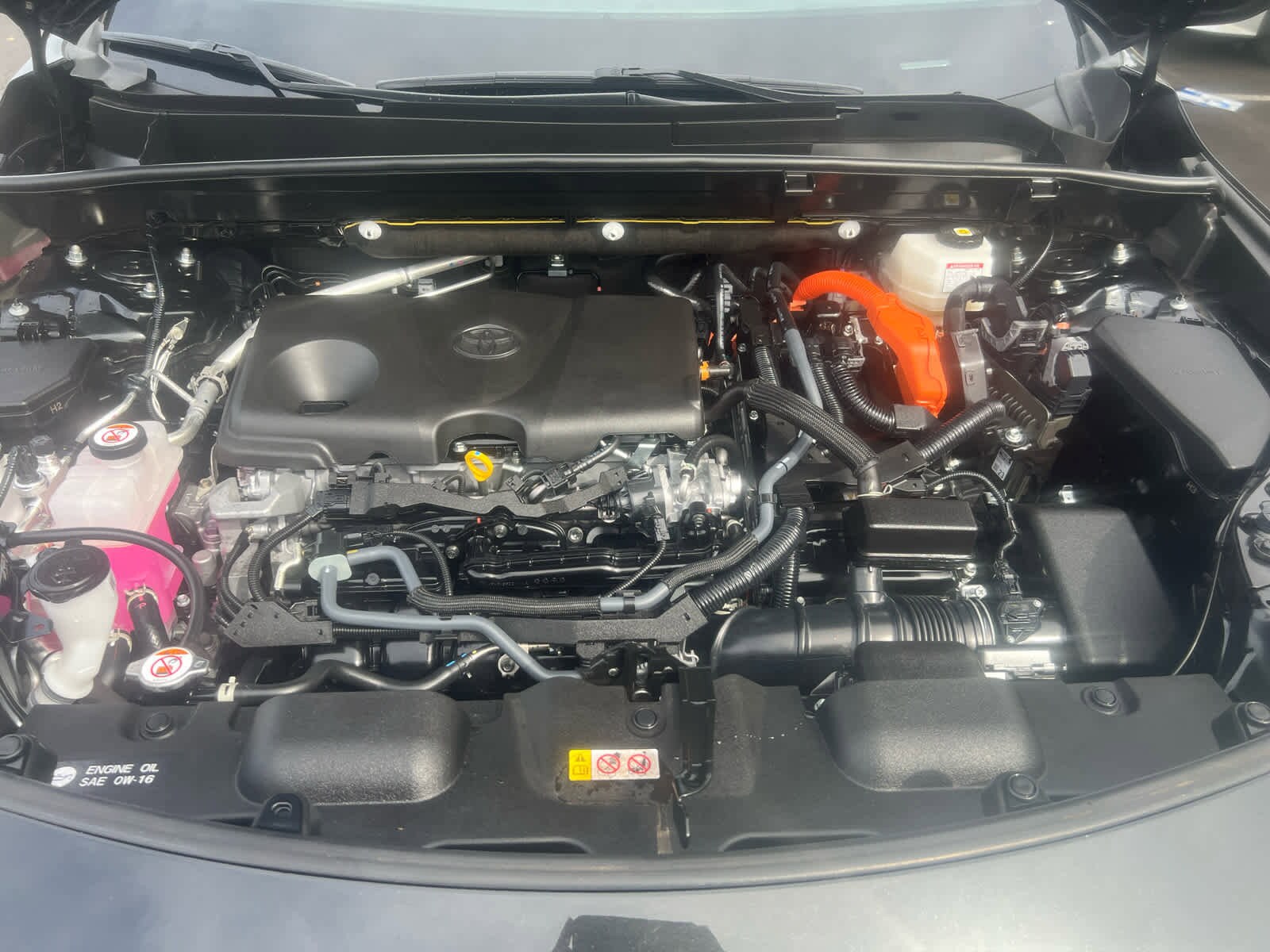 2024 Toyota Venza LE photo 2