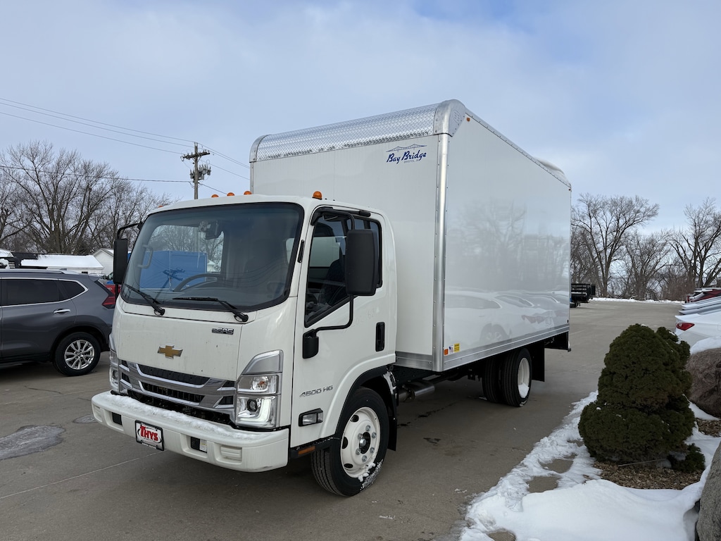 New 2025 Chevrolet Low Cab Forward 4500 Medium ASH Gray Truck