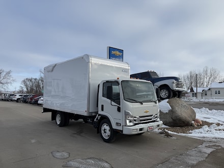 2025 Chevrolet Low Cab Forward 4500 Medium ASH Gray Truck