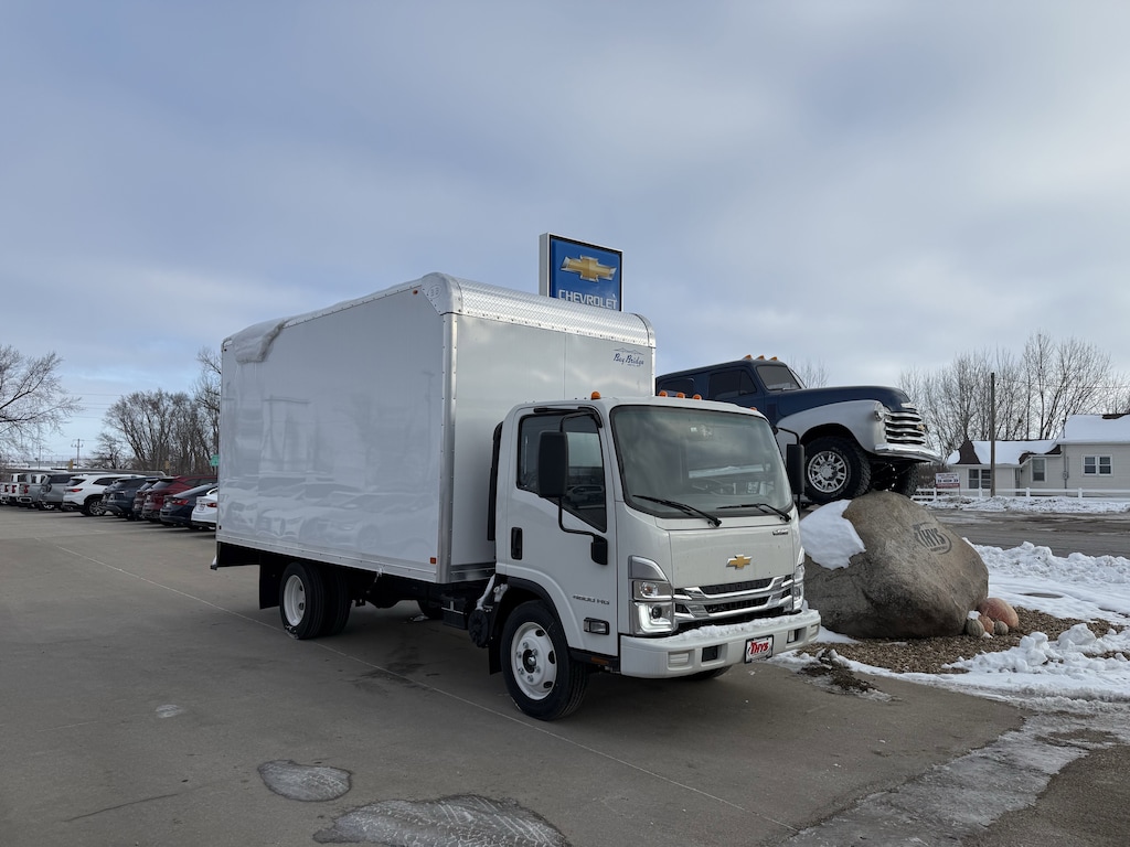New 2025 Chevrolet Low Cab Forward 4500 Medium ASH Gray Truck