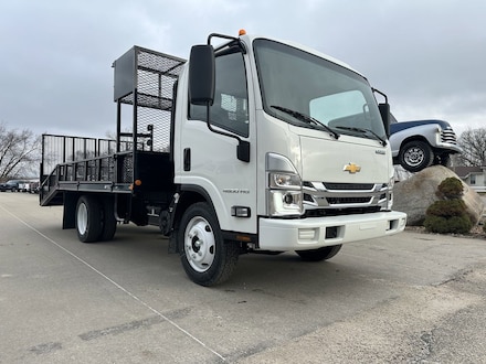 2025 Chevrolet Low Cab Forward 4500 Medium ASH Gray Truck