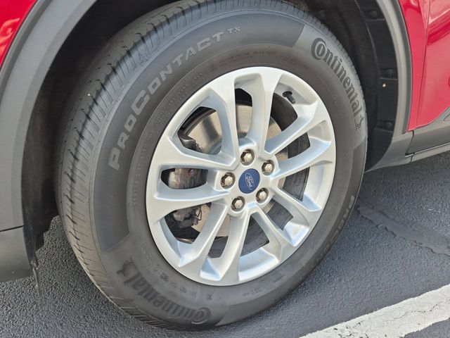 Photo 21