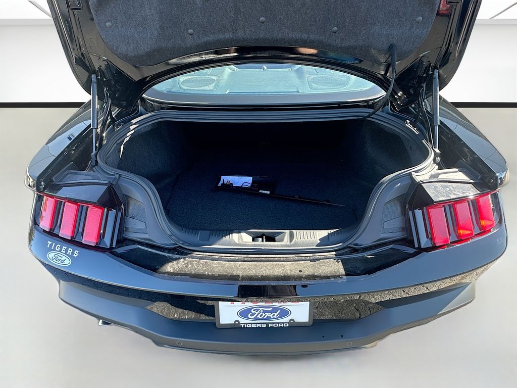 2026 Ford Mustang EcoBoost Fastback - Photo 23