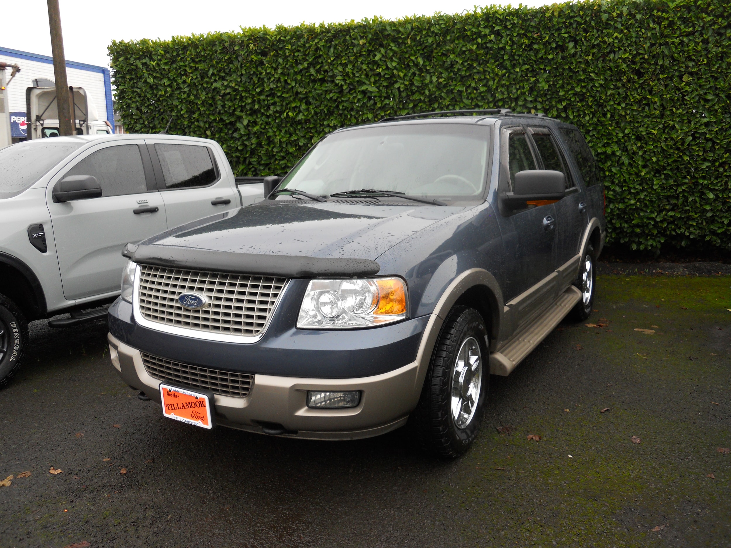 2004 Ford Expedition Eddie Bauer's photo
