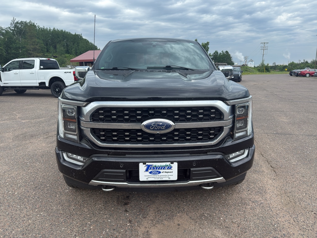 Used 2021 Ford F-150 Platinum with VIN 1FTFW1E82MFB04683 for sale in Hayward, WI