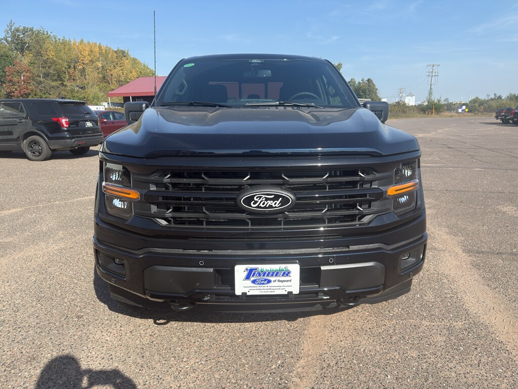 2025 Ford F-150 XLT photo 2