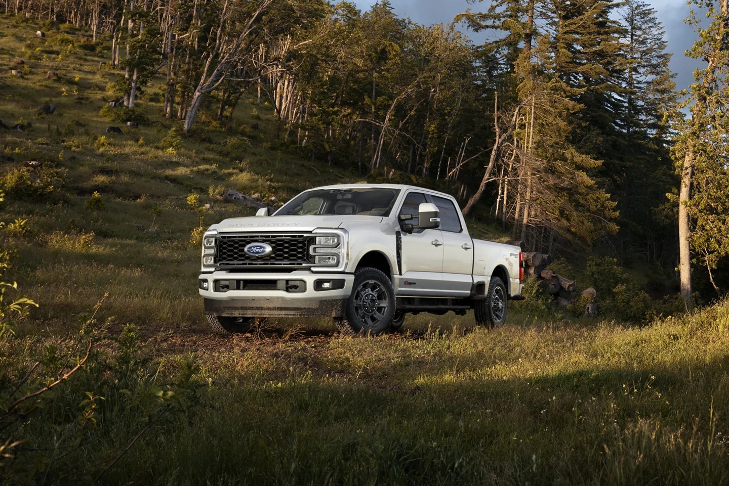 Timber Ford