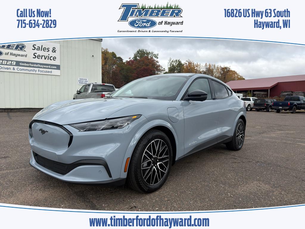 2025 Ford Mustang Mach-E Premium AWD's photo