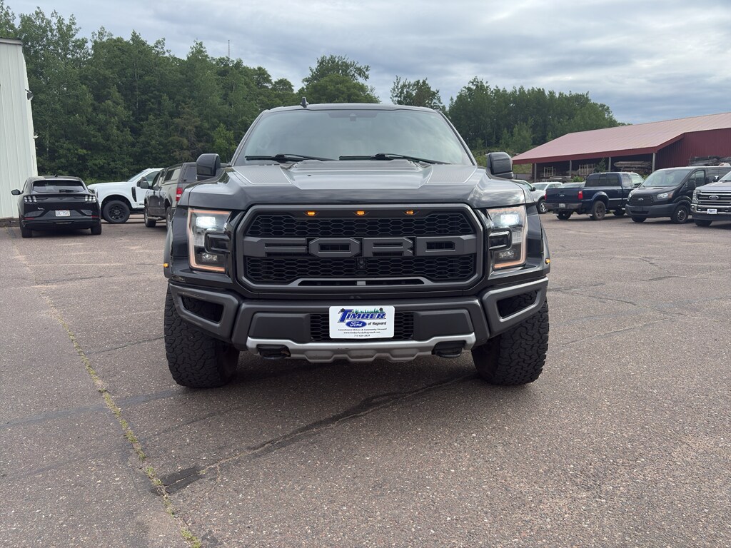 Used 2019 Ford F-150 Raptor with VIN 1FTFW1RG3KFC08792 for sale in Hayward, WI