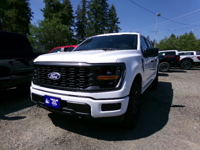 2025 Ford F-150 STX photo 2