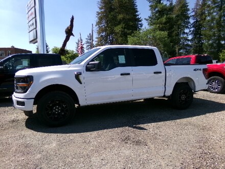 2025 Ford F-150 STX Truck