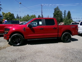 2025 Ford F-150 STX Truck