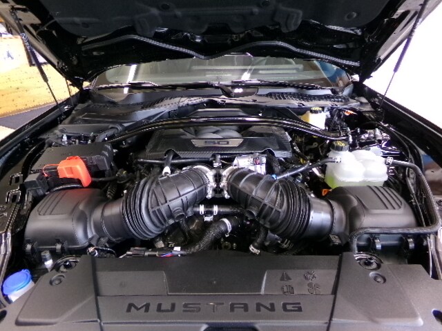 2025 Ford Mustang Dark Horse - Photo 9