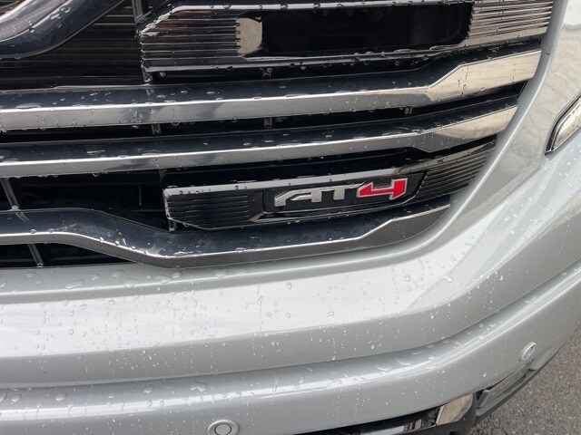 2024 Gmc Sierra 1500 AT4 photo 4