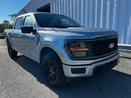 2025 Ford F-150 STX TRUCK