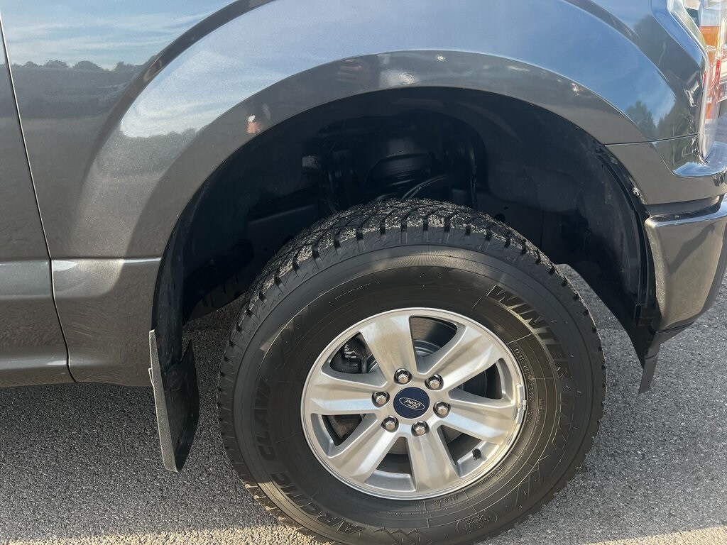 2019 Ford F-150 XL photo 3