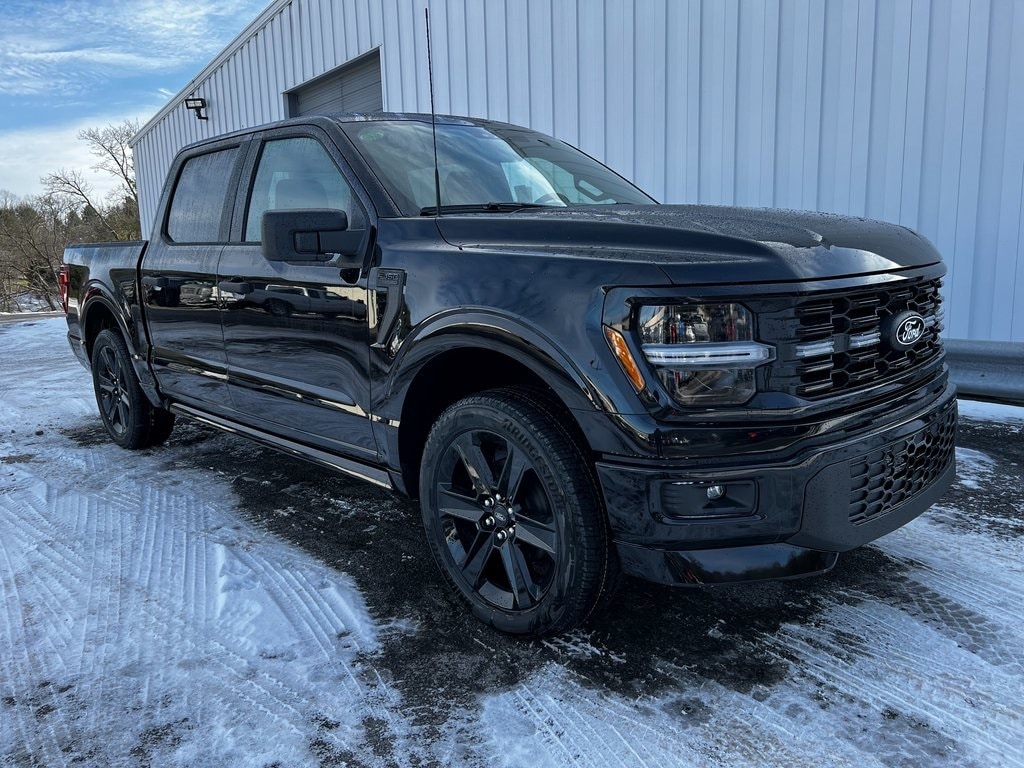 2025 Ford F-150 STX's photo